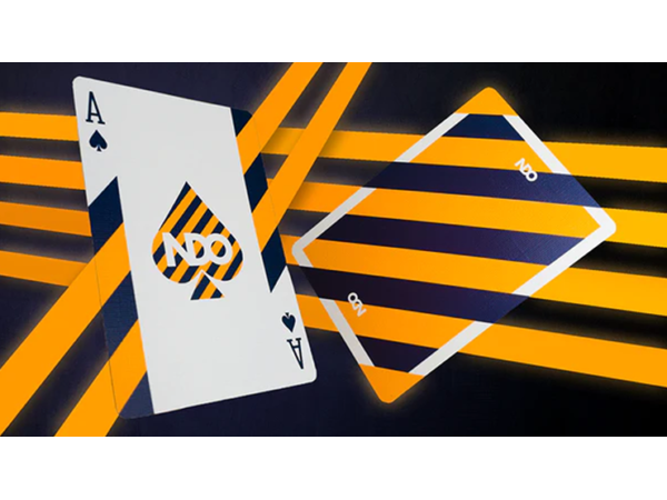 Broken Borders 2020 Playing Cards by The New Deck Order