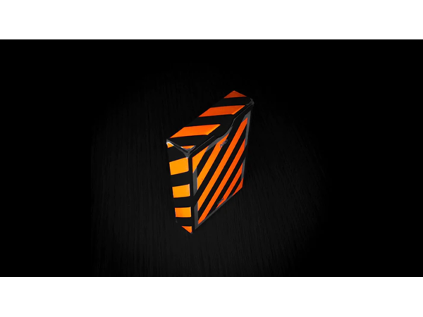 Broken Borders 2020 Playing Cards by The New Deck Order