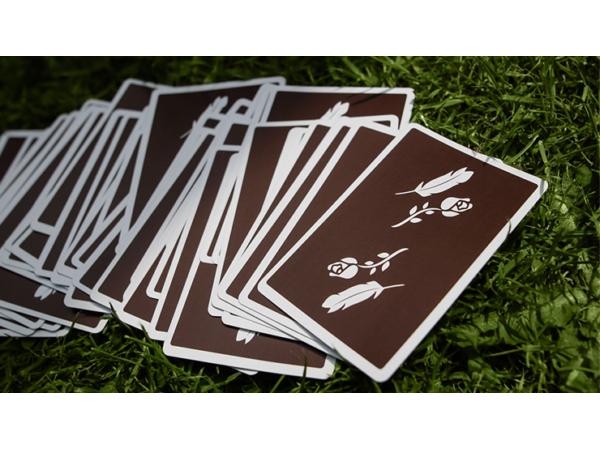Brown Remedies Playing Cards by Madison x Schneider