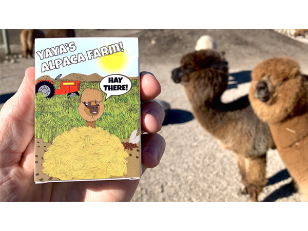 Alpaca Farm Playing Cards