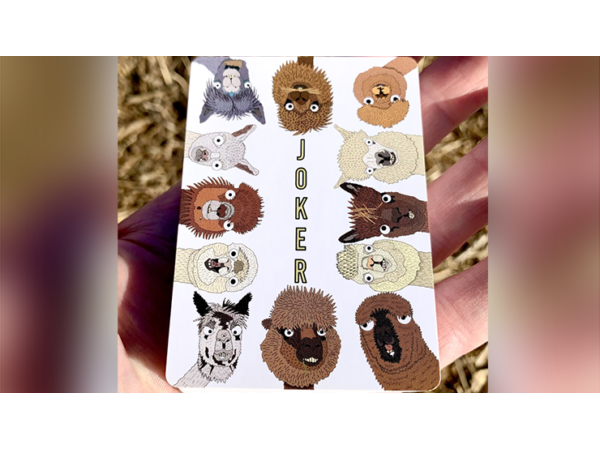 Alpaca Farm Playing Cards