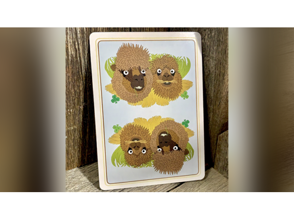 Alpaca Farm Playing Cards