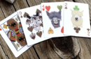 Httpswww magicshop chmediacatalogproductsisimple cardsalpaca farm 2 png