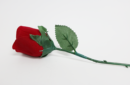 Httpswww magicshop chmediacatalogproductsisimple supervisrose 2 png
