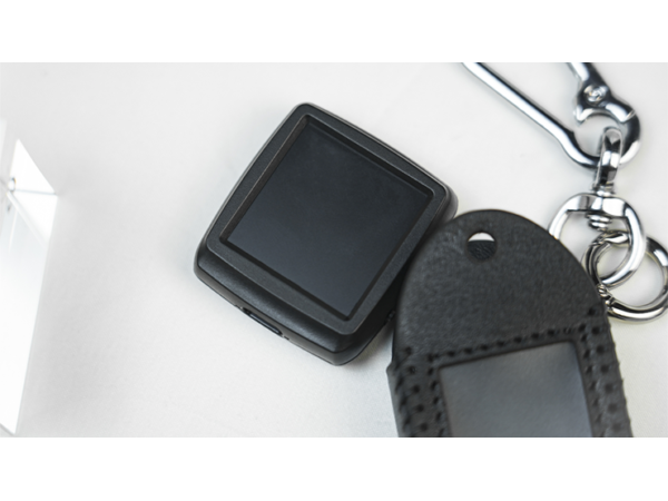 Palm Peeker Keychain Case by PITATA MAGIC