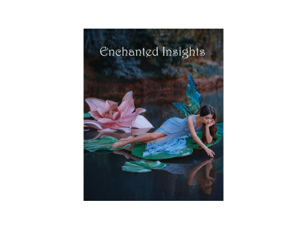 ENCHANTED INSIGHTS BLUE (Japanese Instruction) by Magic Entertainment Solutions