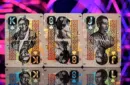 Chinese Legal Tender Playing Cards by Kings Wild – Image 6