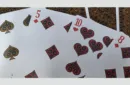 Bicycle Profile Playing Cards by Collectable Playing Cards – Bild 5