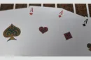 Bicycle Profile Playing Cards by Collectable Playing Cards – Bild 6
