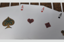 Httpswww magicshop chmediacatalogproductsisimple cardsbic prof 10 png
