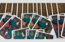 Httpswww magicshop chmediacatalogproductsisimple cardsbic prof 6 png