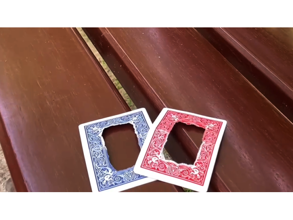 LinkCard RED (Gimmicks and Online Insruction) by Mickaël Chatelain