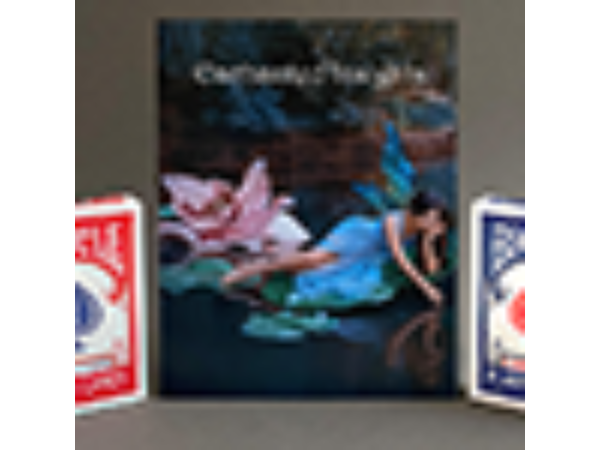 ENCHANTED INSIGHTS RED (Korean Instruction) by Magic Entertainment Solutions - Trick