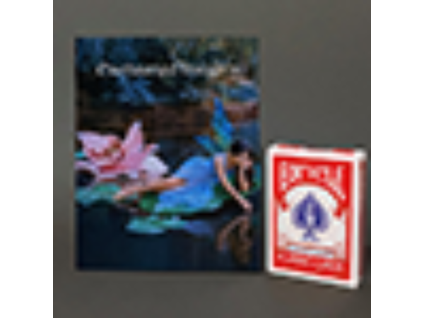 ENCHANTED INSIGHTS RED (Korean Instruction) by Magic Entertainment Solutions - Trick