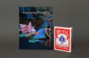 Httpswww magicshop chmediacatalogproductsisimple enchantedin kor red 4 png