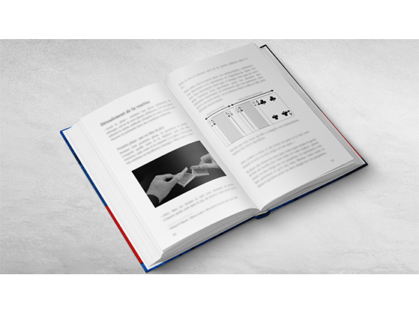 RAINMAN by Vincent Hedan - Book