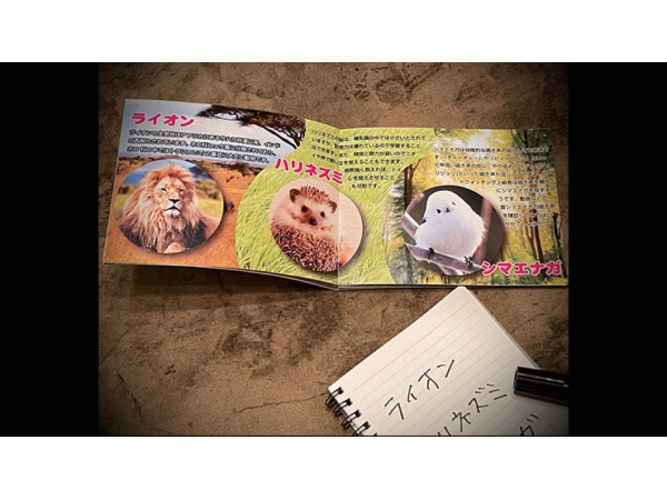 Mentalist's Animal Photo book 2024 by Tenyo Magic - Trick