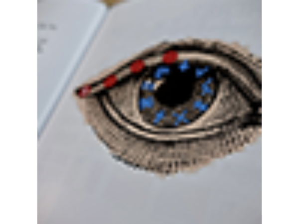 This Book Will Read Your Mind by Alexander Marsh - Book
