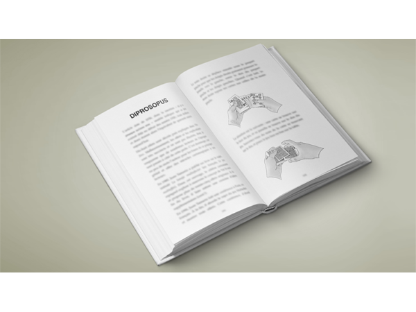 Multitude by Vincent Hedan - Book