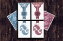 Httpswww magicshop chmediacatalogproductsisimple cardspais mrkblu 1 png