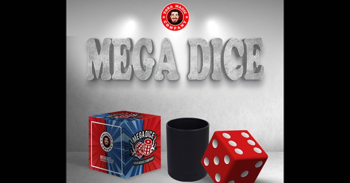 Megadice Logo und Interface