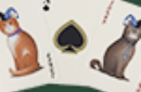 Httpswww magicshop chmediacatalogproductsisimple cardsbic pokercats 5 png