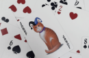 Httpswww magicshop chmediacatalogproductsisimple cardsbic pokercats 8 png