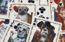 Httpswww magicshop chmediacatalogproductsisimple cardsbic pokerdogs 4 png