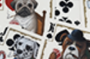Httpswww magicshop chmediacatalogproductsisimple cardsbic pokerdogs 5 png