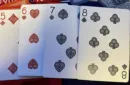 Bicycle Bandana Stripper (Blue) Playing Cards – Bild 2