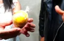 Bill In Lemon by Syouma – Image 4