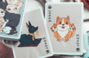 Httpswww magicshop chmediacatalogproductsisimple cardsnaughty 4 png