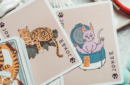 Httpswww magicshop chmediacatalogproductsisimple cardslidcat 4 png
