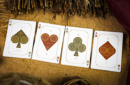 Httpswww magicshop chmediacatalogproductsisimple cardsthesilk set 6 png
