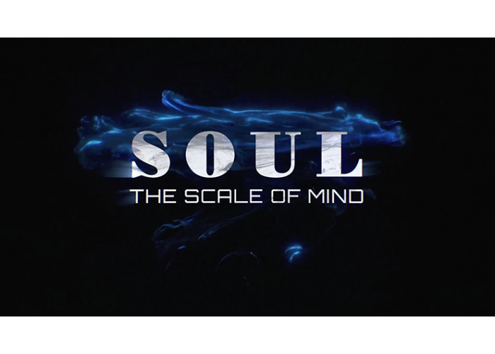SOUL (Gimmicks and Online Instructions) by Wenzi