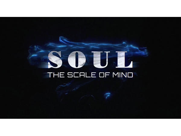 SOUL (Gimmicks and Online Instructions) by Wenzi