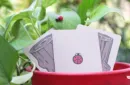 Lucky Ladybug (Gimmicks and Online Instructions) by by Joshua Ray & Deuce Gala Magic – Image 5