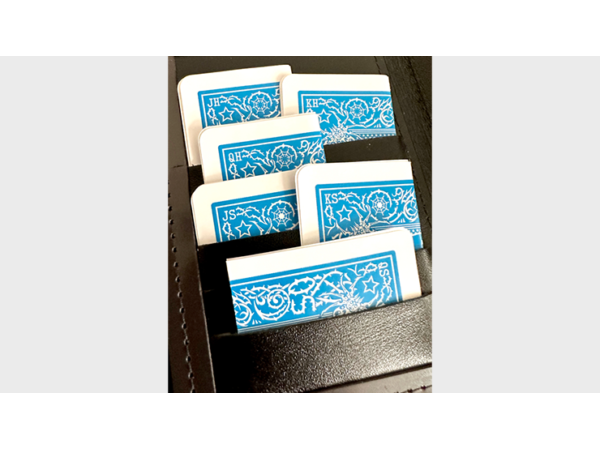 Mis-Indexed Court Cards (LIGHT) - Pack of 12 by Steve Dela