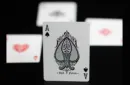 Smoke & Mirrors Anniversary Edition: Green Playing Cards by Dan & Dave – Bild 3