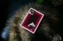 Byte Playing Cards – Bild 6