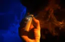 VAPOR PREDICTION by TCC – Image 3