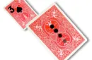 Final Dot by Andrew – Bild 2
