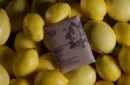 Marry Kiss Kill (Gimmicks and Online Instructions) by Wessel Kort and Green Lemon – Image 4
