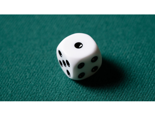 REPLACEMENT DIE WHITE (GIMMICKED) FOR MENTAL DICE by Tony Anverdi