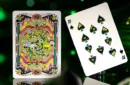 Rick & Morty Playing Cards by theory11 – Image 5