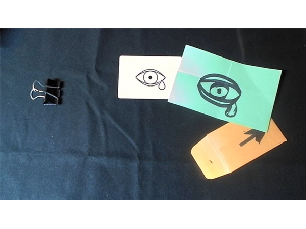 ESP (EMOTIONAL SENSITIVITY PROJECT) by Michael Breggar