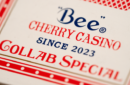 Httpswww magicshop chmediacatalogproductsisimple cardsbeech red 10 png