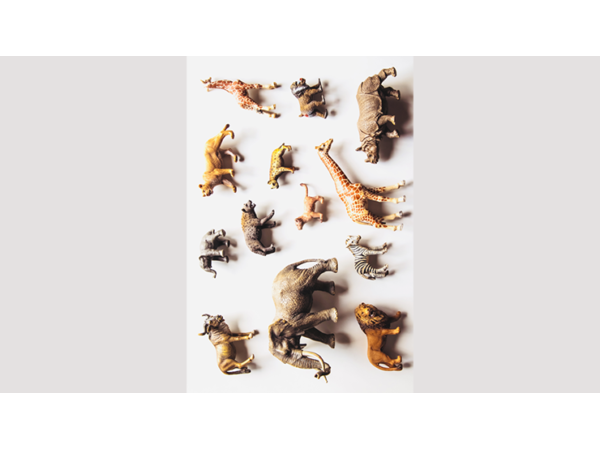 Noah's Ark Prop-less Animal Guess by Fraser Parker - Book