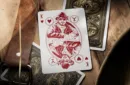 Yellowstone Playing Cards by theory11 – Image 5