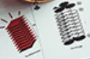 Indecx (Layer) Playing Cards – Image 5